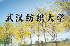 2024武汉纺织大学录取分数线：河北最低516分