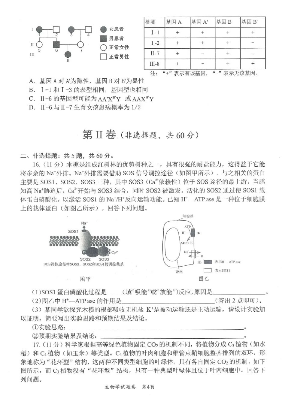 4847cae0e0789c2f5b45977e04e22f5f_1730457206197_4.jpg