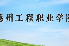 2024德州工程职业学院录取分数线：辽宁最低231分