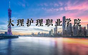 2024大理护理职业学院录取分数线：贵州最低369分