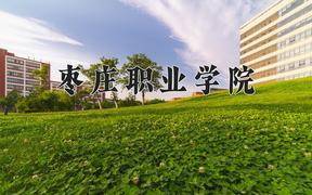 2024枣庄职业学院录取分数线：辽宁最低308分