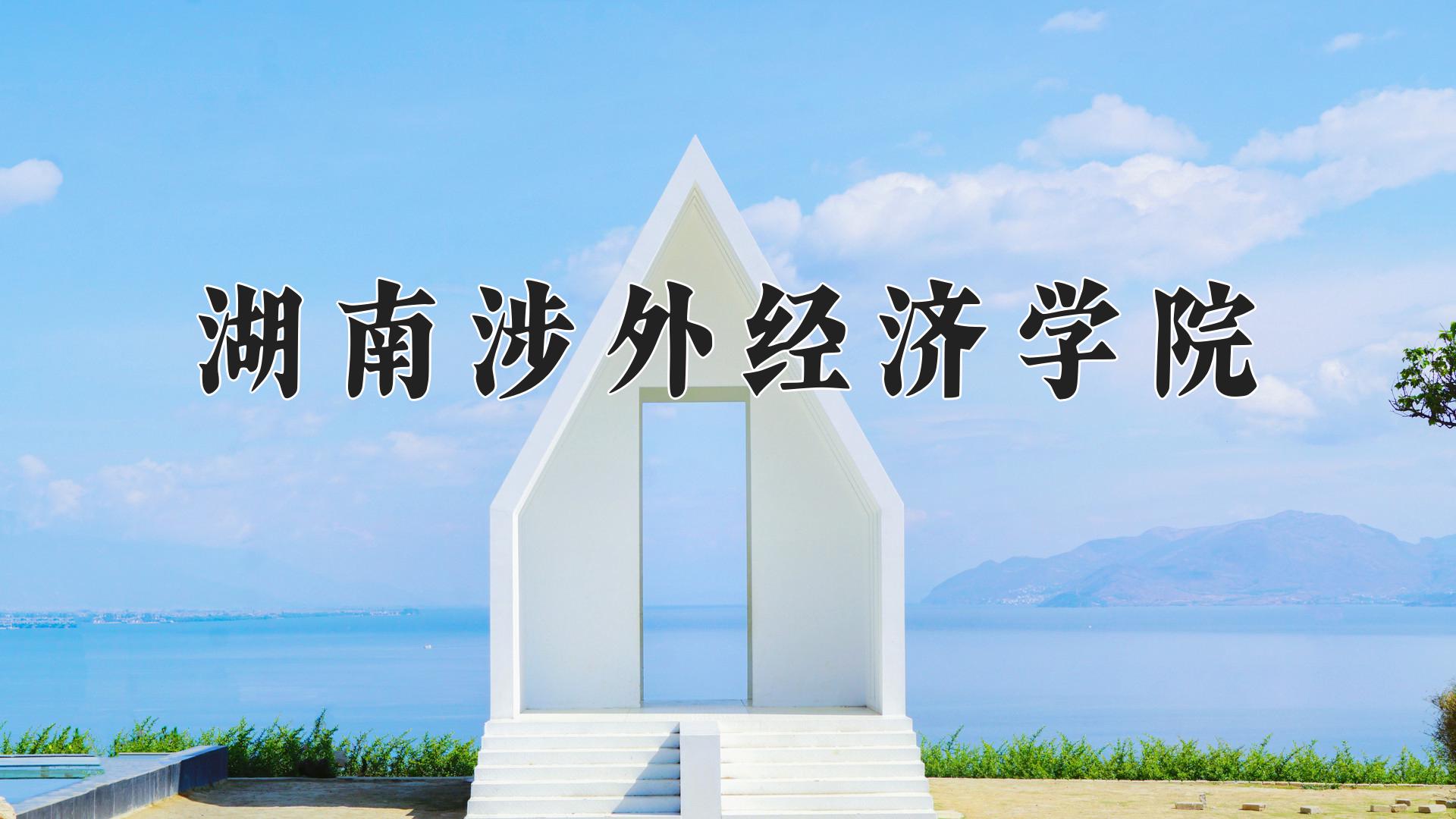 湖南涉外经济学院