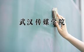 2024武汉传媒学院录取分数线：贵州最低243分