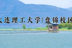 2024大连理工大学(盘锦校区)录取分数线：辽宁最低596分