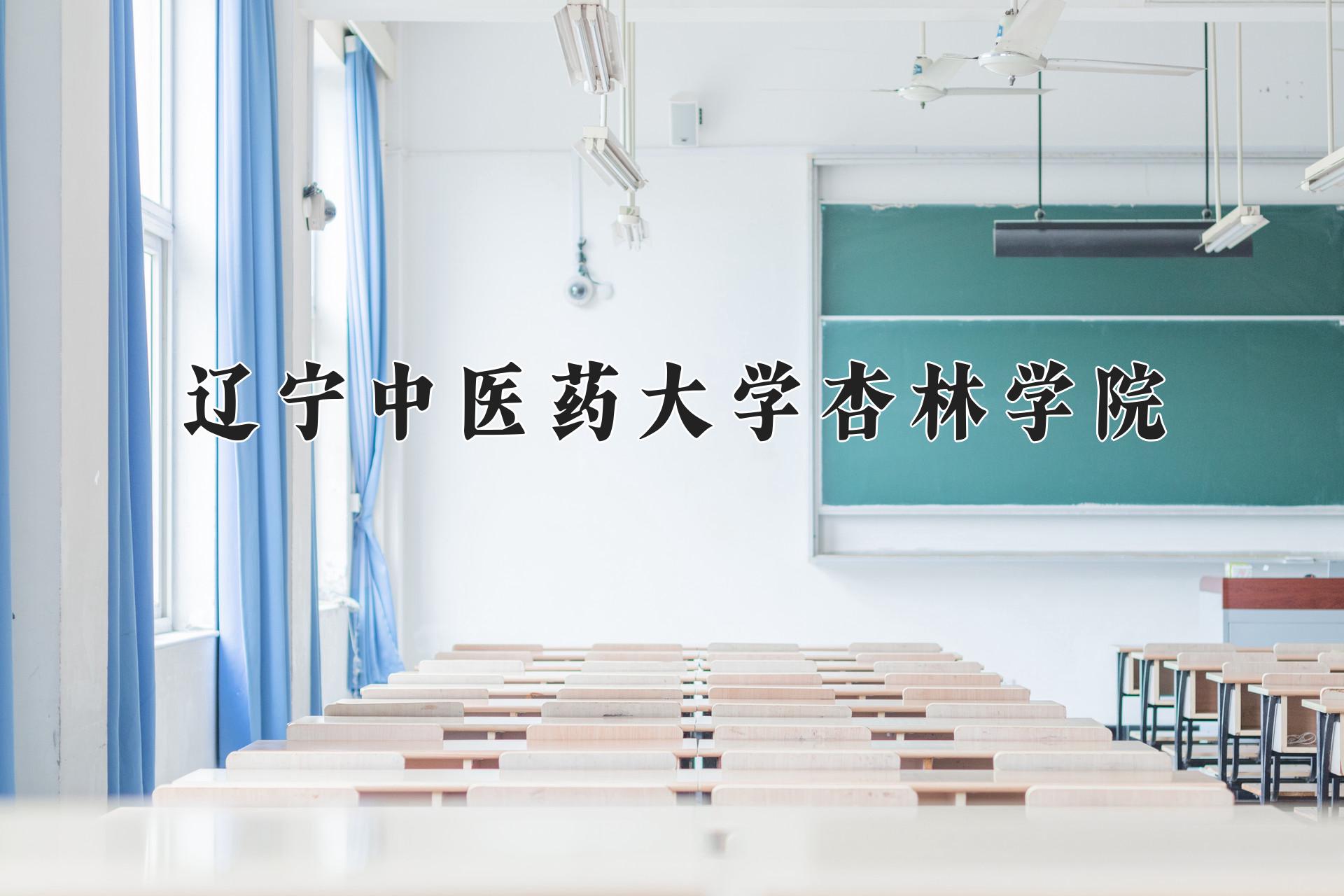 辽宁中医药大学杏林学院