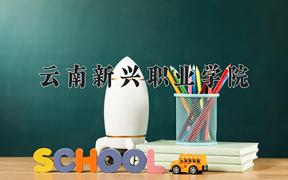 2024云南新兴职业学院录取分数线：贵州最低213分