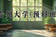 2024贵州大学(预科班)录取分数线：贵州最低500分
