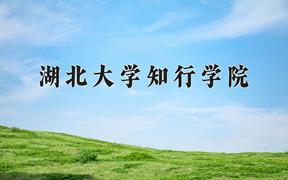 2024湖北大学知行学院录取分数线：贵州最低397分