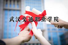 2024武汉交通职业学院录取分数线：贵州最低244分