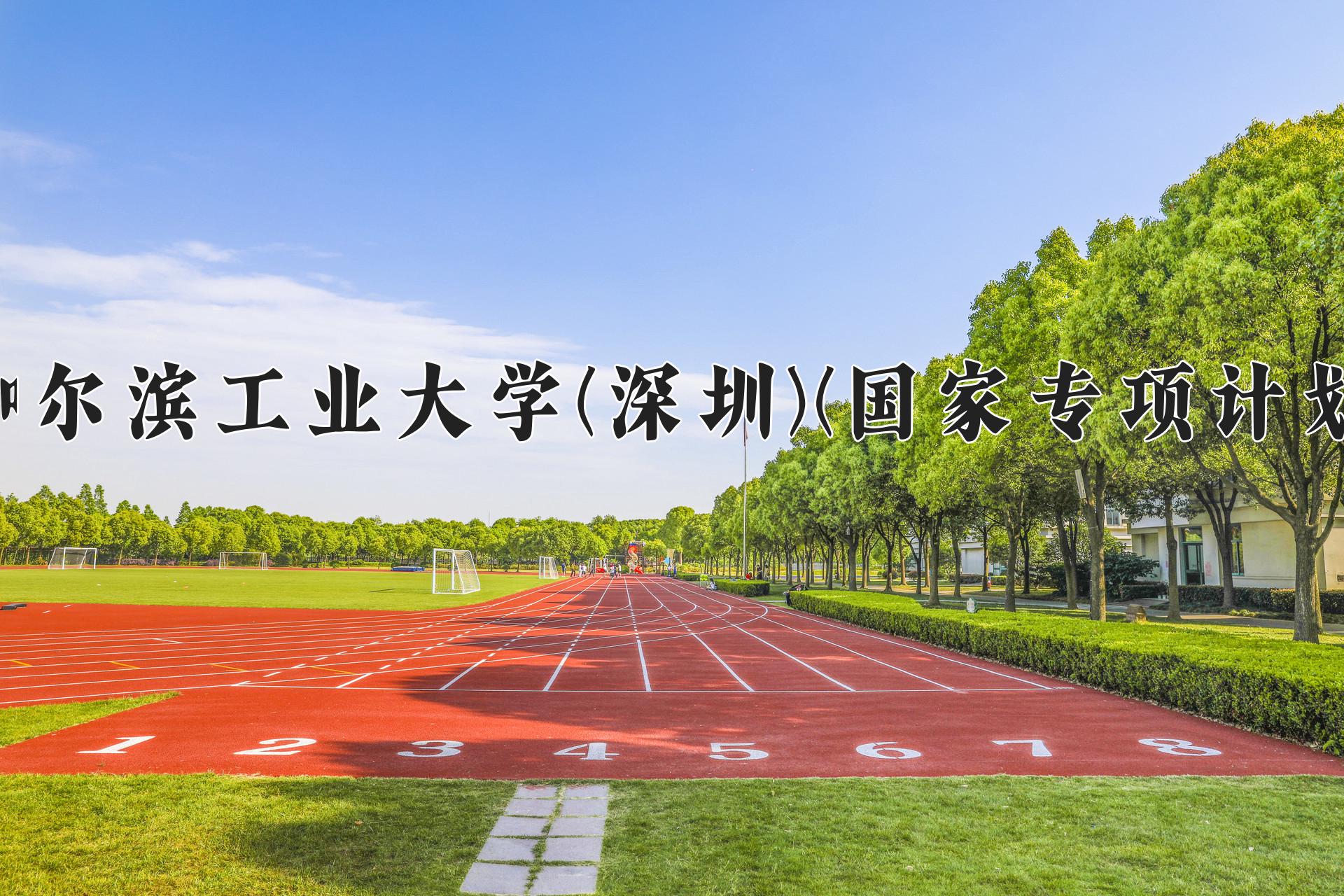 哈尔滨工业大学(深圳)(国家专项计划)