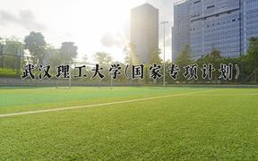 2024武汉理工大学(国家专项计划)录取分数线：贵州最低497分