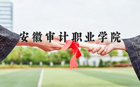 2024安徽审计职业学院录取分数线：贵州最低312分