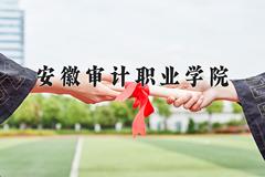 2024安徽审计职业学院录取分数线：贵州最低312分