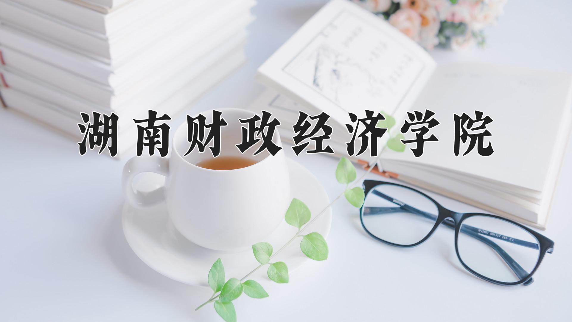 湖南财政经济学院