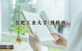 2024合肥工业大学(预科班)录取分数线：贵州最低569分