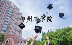 2024柳州工学院录取分数线：辽宁最低368分