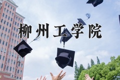 2024柳州工学院录取分数线：辽宁最低368分