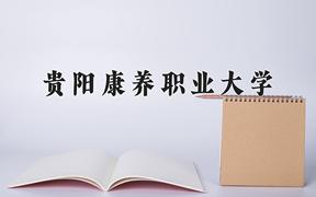 2024贵阳康养职业大学录取分数线：贵州最低379分