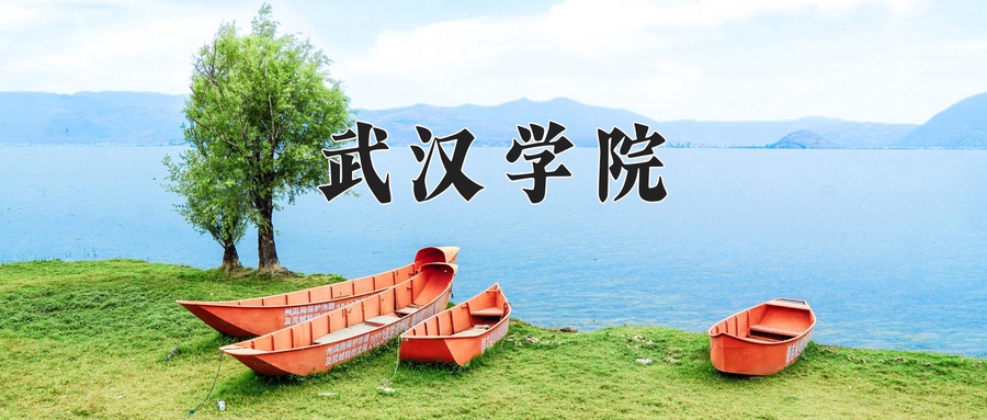 武汉学院