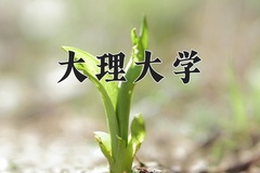 2024大理大学录取分数线：贵州最低462分