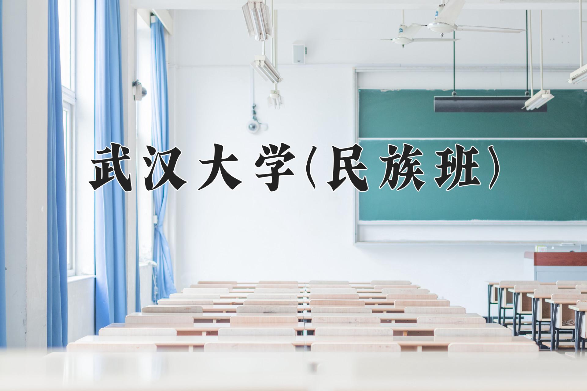 武汉大学(民族班)