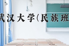 2024武汉大学(民族班)录取分数线：贵州最低637分