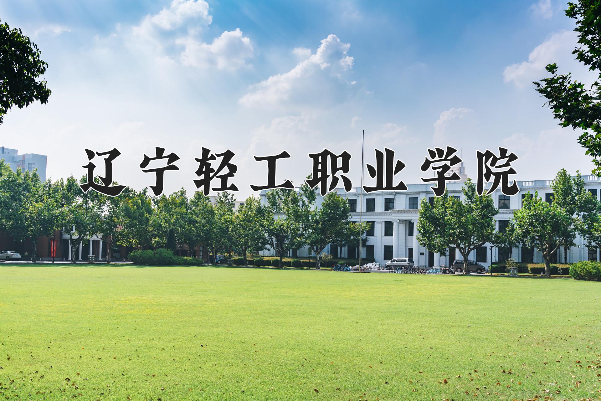 辽宁轻工职业学院