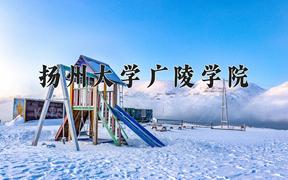 2024扬州大学广陵学院录取分数线：贵州最低380分