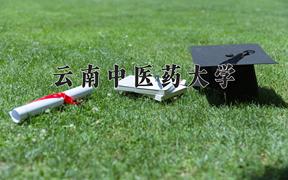 2024云南中医药大学录取分数线：贵州最低486分