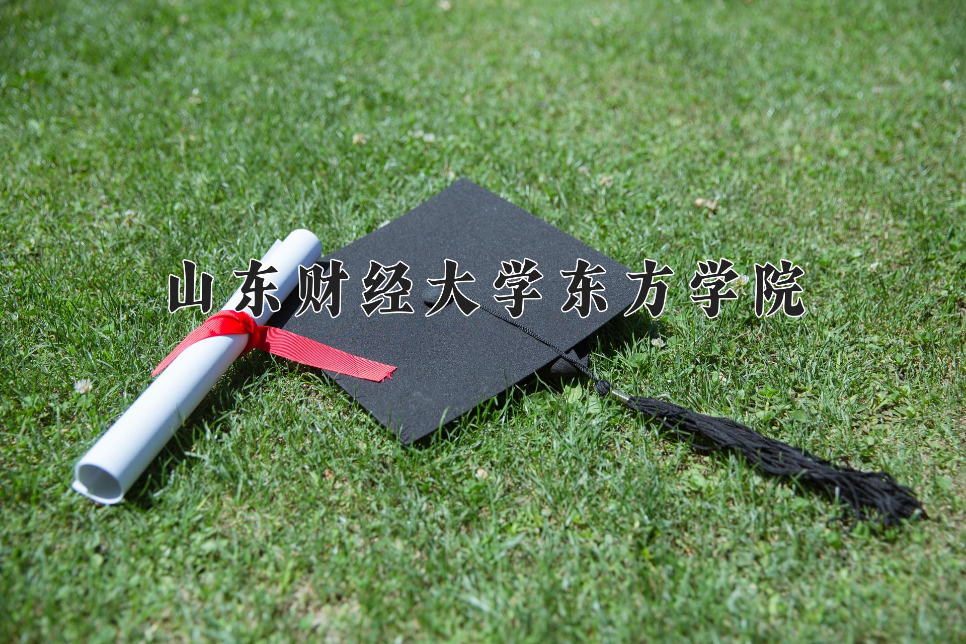 山东财经大学东方学院