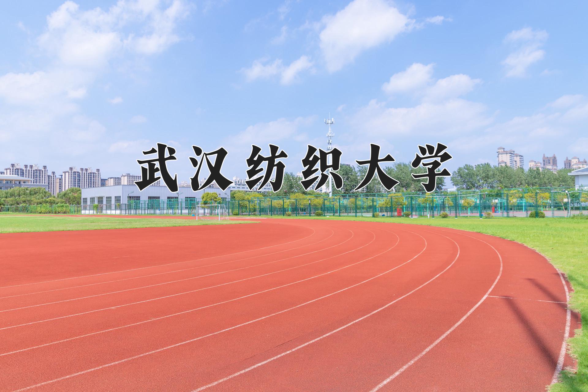 武汉纺织大学