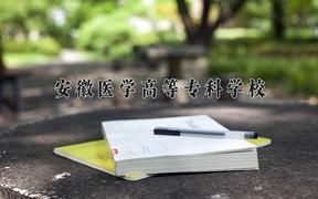 2024安徽医学高等专科学校录取分数线：贵州最低387分