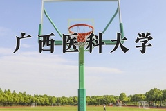 2024广西医科大学录取分数线：贵州最低491分