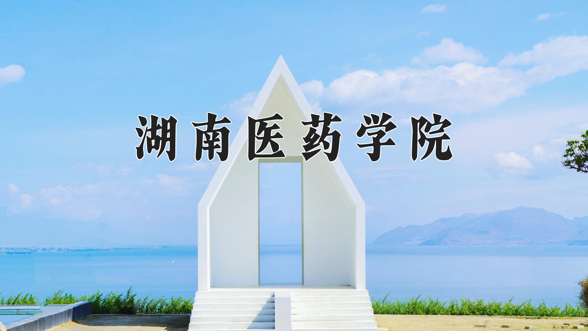 湖南医药学院