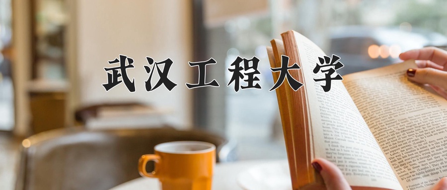 武汉工程大学