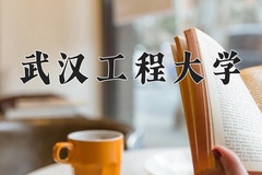 2024武汉工程大学录取分数线：辽宁最低531分