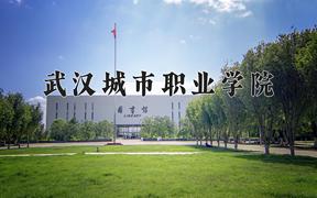 2024武汉城市职业学院录取分数线：贵州最低365分