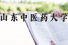 2024山东中医药大学录取分数线：辽宁最低504分