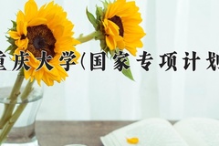 2024重庆大学(国家专项计划)录取分数线：贵州最低578分