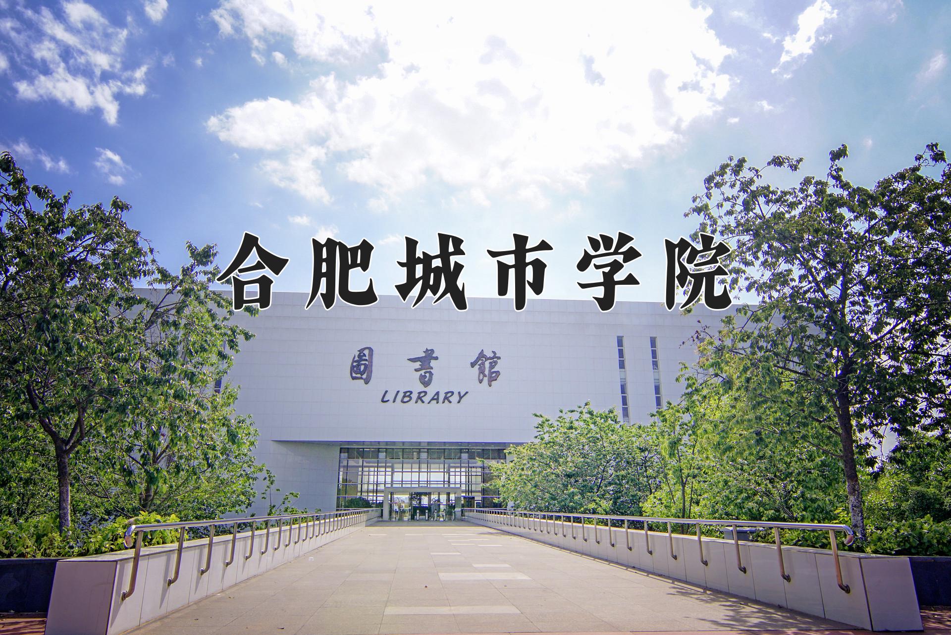 合肥城市学院