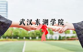 2024武汉东湖学院录取分数线：贵州最低394分