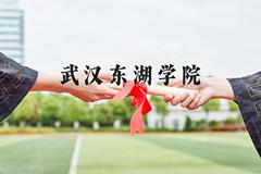 2024武汉东湖学院录取分数线：贵州最低394分