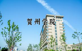 2024贺州学院录取分数线：贵州最低455分