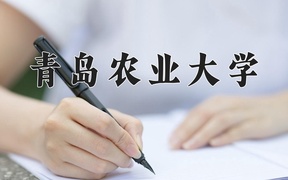 2024年粮食工程专业大学排名及录取分数线（2025考生参考）