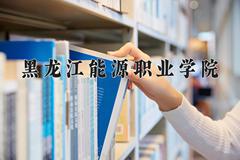 2024年黑龙江能源职业学院在陕西计划招生人数（附学费及专业录取分)