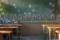 2024年湖北医药学院药护学院在陕西计划招生人数（附学费及专业录取分)