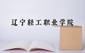 2024年辽宁轻工职业学院在陕西计划招生人数（附学费及专业录取分)