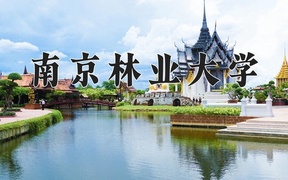 2024年家具设计与工程专业大学排名及录取分数线（2025考生参考）