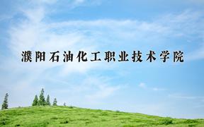 2024年濮阳石油化工职业技术学院在陕西计划招生人数（附学费及专业录取分)