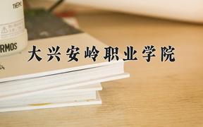 2024年大兴安岭职业学院在陕西计划招生人数（附学费及专业录取分)